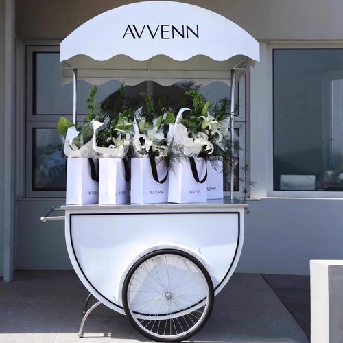 移动铁艺花车摆摊车商场促销车美食街展示车商业促销推车冰淇淋车