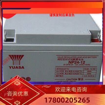 应急汤浅蓄电池YUASA NP24-12 12V24AH UPS专用  质保