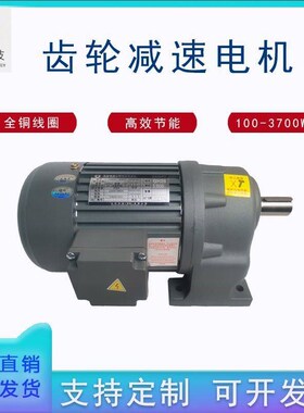 减速电机380V卧式400W/750CW变频调速1.5KW立式齿轮减速机