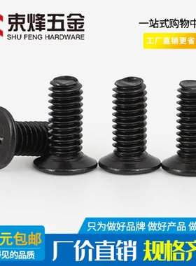 M2.5M3fM4 黑色304不锈钢120度薄头十字平头镀黑锌小沉头螺丝钉