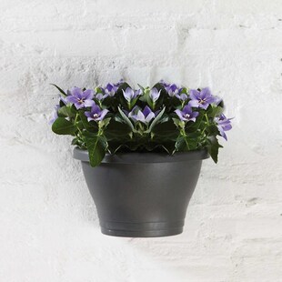 大北塑料花盆爱好j菜贴壁半壁优质简约挂环保欧小壁挂花盆盆elho