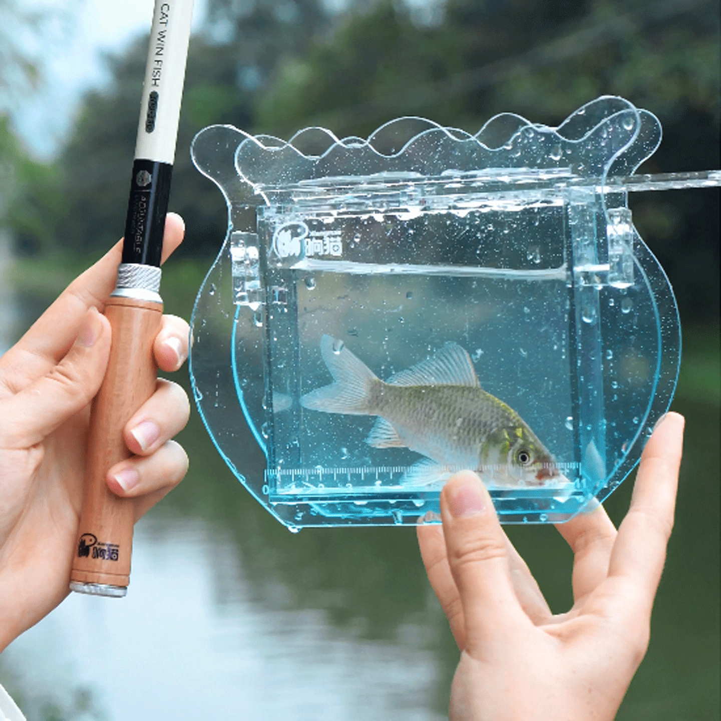响猫观鱼盒新款鱼缸形状透明带盖观察盒野采带刻度尺便携式观鱼器,户外/登山/野营/旅行用品,打水桶,淘宝优惠券,粉丝福利购,淘宝优惠卷