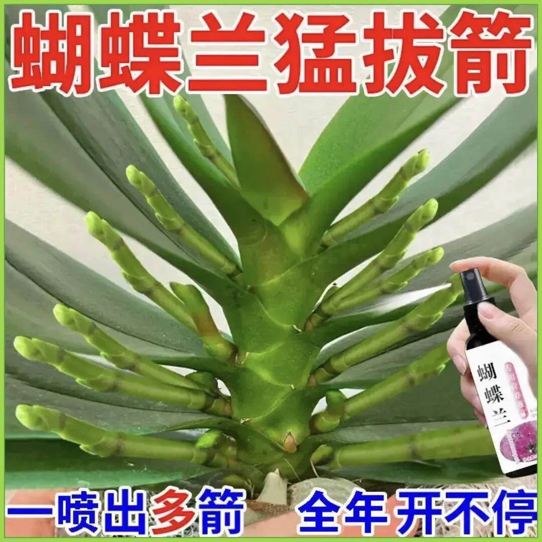 蝴蝶兰爆箭王植物营养液促花剑开花防黄叶兰花专用肥通用有机肥图片