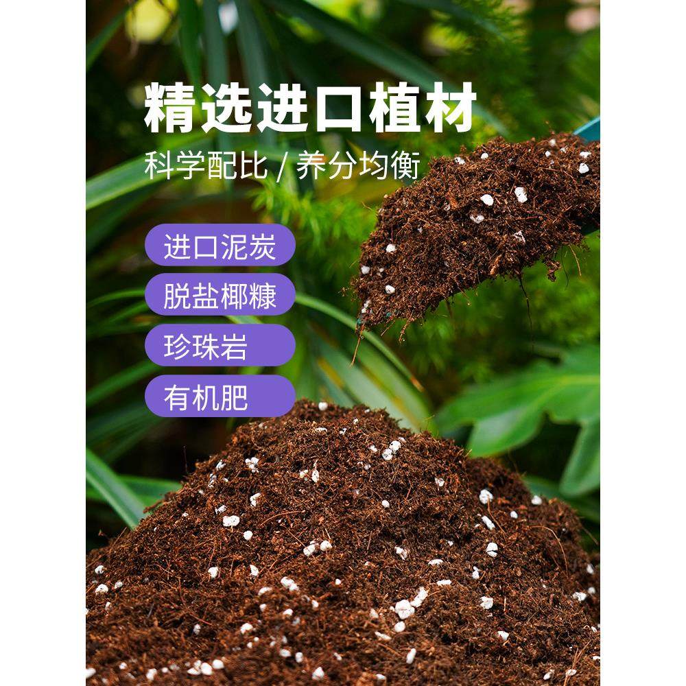 营养土种菜专用土家用植物阳台养花通用室内楼顶育苗神器盆栽花土,家居饰品,花盆,淘宝优惠券,粉丝福利购,淘宝优惠卷