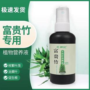 黄叶克星富贵竹营养液一喷绿防黄叶烂根促生长生根水培通用肥料