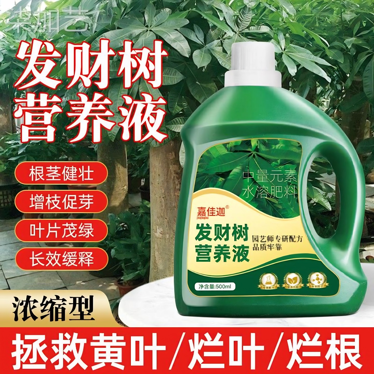 嘉佳迦发财树营养液植物多植物适用花肥发财树富贵竹绿萝盆栽家用