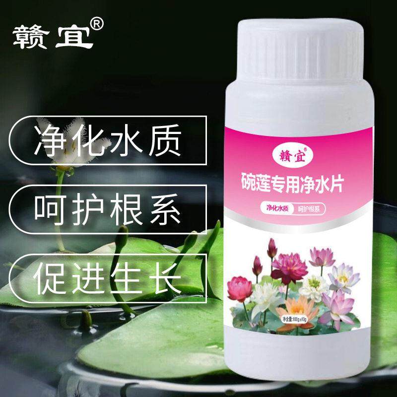 碗莲荷花净水片催芽睡莲开花黄叶叶面黑烂叶增肥水培绿植专用通用,家居饰品,花盆,淘宝优惠券,粉丝福利购,淘宝优惠卷