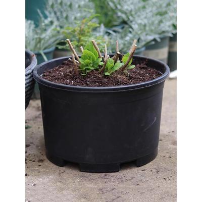 黑色加仑盆加厚特大口径防晒花盆塑料矮胖菜盆绣球蓝莓控根定植盆