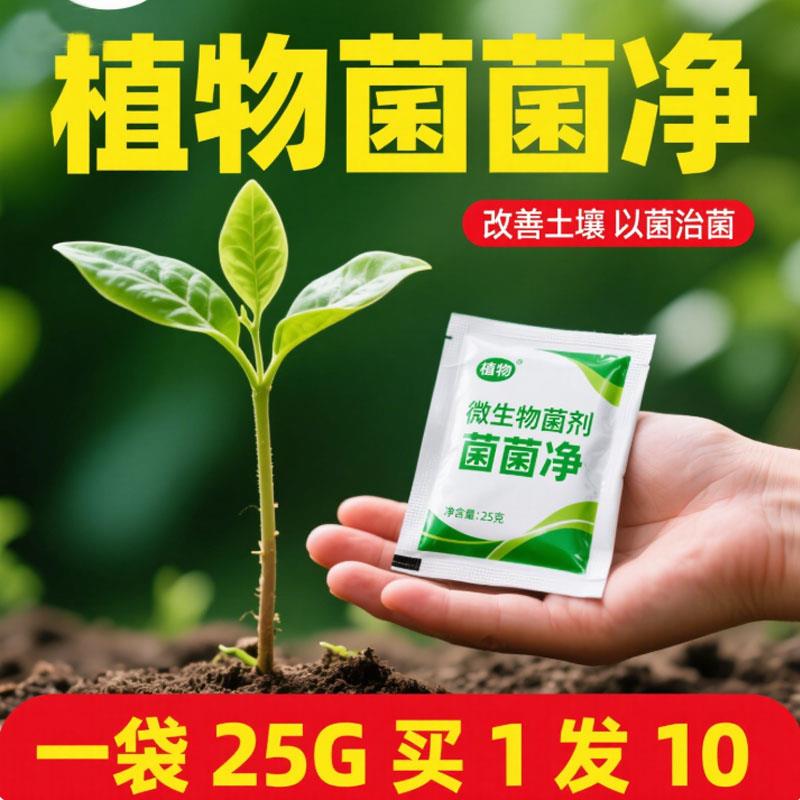 菌立清微生物菌剂以菌抑菌青枯立枯黄萎炭疽灰霉霜霉白粉根腐病毒