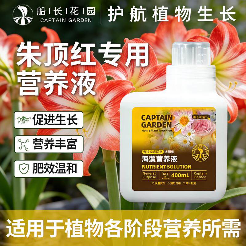 朱顶红专用有机水溶复合肥海藻郁金香阳台养花盆栽植物通用营养液