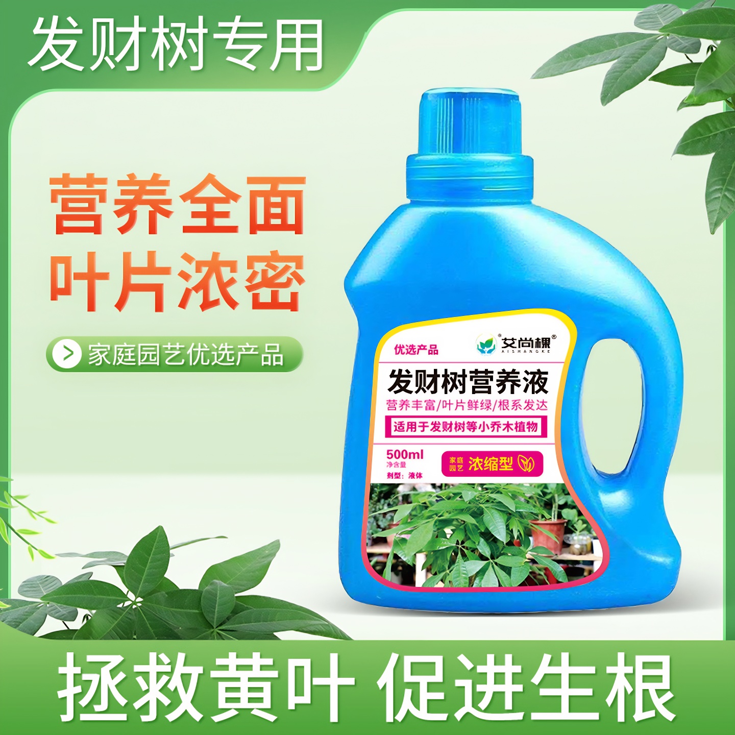 艾尚棵发财树浓缩营养液专用植物花卉绿植庭院办公桌面盆景花肥料