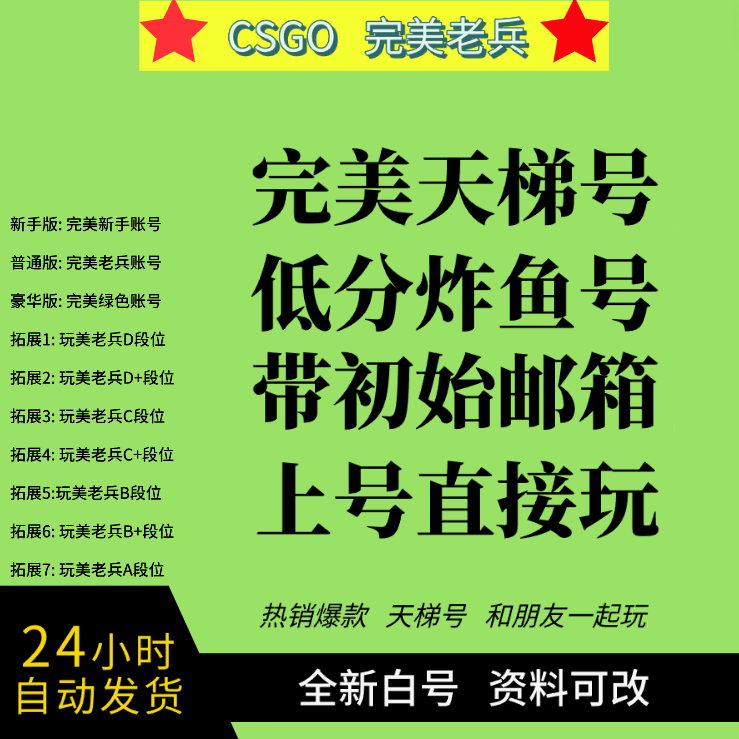 csgo账号完美世界天梯号新号老兵号 csgo2成品号普通玩家