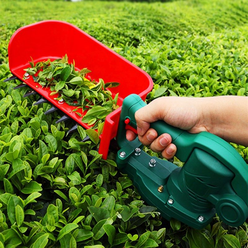 24伏采春茶机 锂电池背负式x无刷电动采茶机 手持式茶叶收割采摘,农机/农具/农膜,电动采茶机,淘宝优惠券,粉丝福利购,淘宝优惠卷