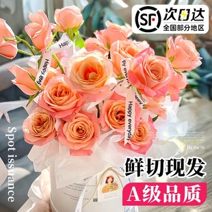 极速猪小姐玫瑰鲜花家用客厅插花鲜切枝水养N花卉云南基地直发水