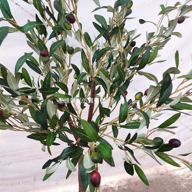 仿真橄榄树塑料盆栽油o橄榄树北欧ins风绿植假花客厅装饰假树盆景