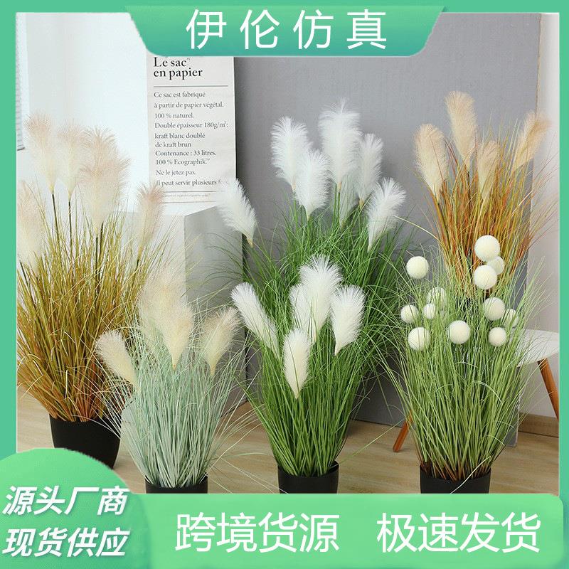 伊伦仿真芦苇盆栽绿植盆景家居装饰摆件狗尾巴草蒲公英仿真树植物