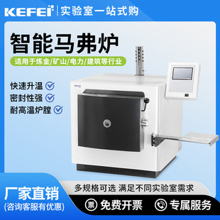 马弗炉灰分测定仪智能一体高温炉煤炭焦质挥发化验室分析检器设备