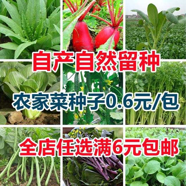 蔬菜种子各种任选青菜种籽瓜果水果特色菜四季播盆栽农家菜籽