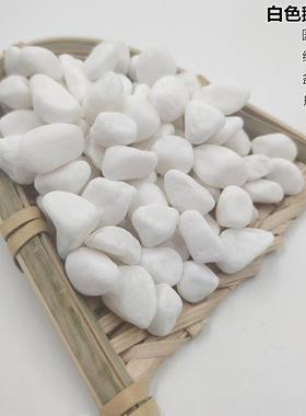 白石子庭院铺路园林造景用白色砾石多肉植物铺面白色小石头水洗石