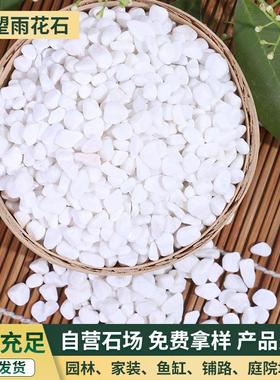 雪花白小石子 多肉盆栽铺面白色机制鹅卵石 鱼缸造景工程铺路装饰
