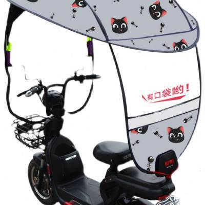 极速青游202h1新款小型电动自行车遮雨棚遮阳防晒挡风罩遮阳伞可