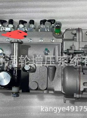 喷油泵101695-3050 101065-0406和101049-4100 6205-71-1350