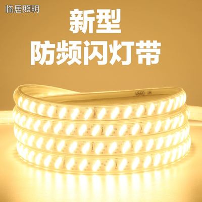 护眼无频闪家用灯带led三色变色客厅吊顶变光超亮灯带条灯条220v