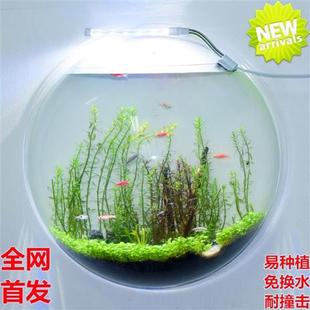 水培绿萝家居花器墙上亚克力墙贴插花花瓶水养植物壁挂特色花盆