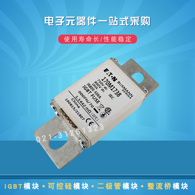 快速熔断器170M1732 1733 1734 1735 1736 1737 1738 1739保险丝