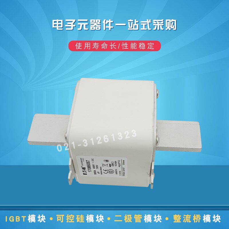 快速熔断器保险丝170M6072 6080 6081 6082 6083 6084 6085 6086