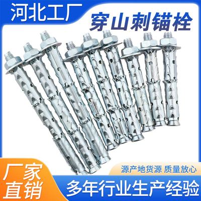 穿山刺膨胀螺丝切块砖泡沫轻体砖专用蓬胀螺丝鱼鳞拉爆加气块倒刺