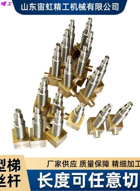 非标梯形丝杆铜螺母加工正反牙丝杠45号传动丝杠Tr10-20-30