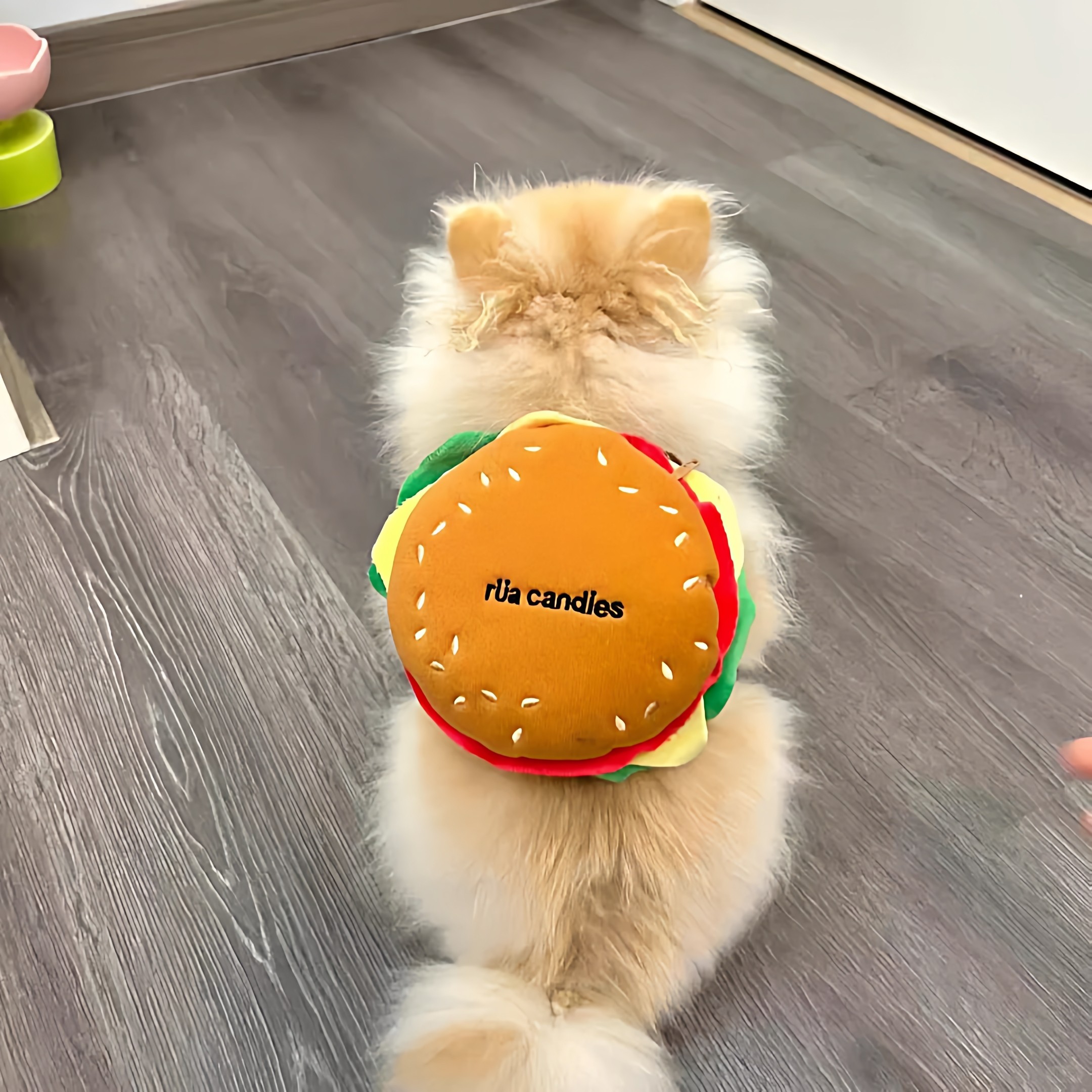 可爱汉堡薯条背包宠物牵引绳小狗狗猫咪外出防挣脱宠物胸背带用品,宠物/宠物食品及用品,宠物背包,淘宝优惠券,粉丝福利购,淘宝优惠卷