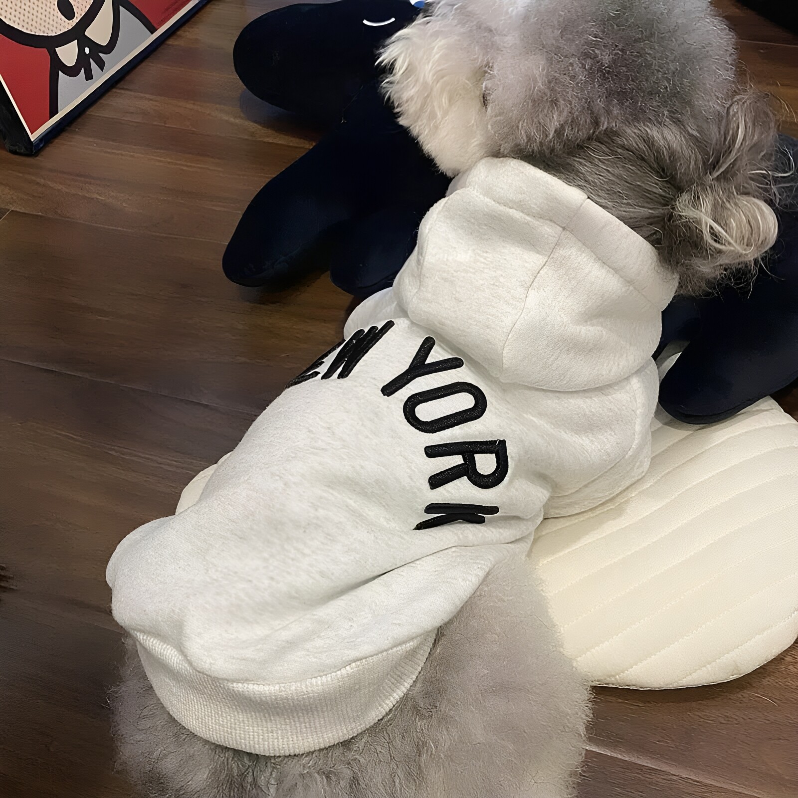 宠物卫衣带帽秋冬新款潮牌雪纳瑞泰迪比熊连帽加绒猫咪衣服秋冬季