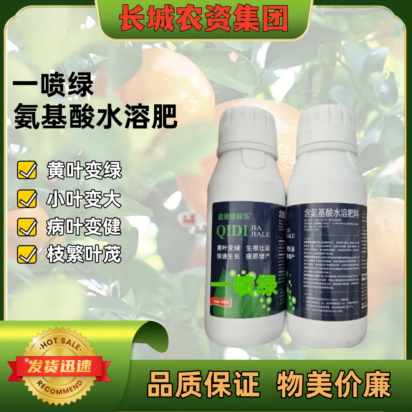 一喷绿黄叶枯死变绿含氨基酸蔬菜花卉叶绿素微量元素叶面肥喷施