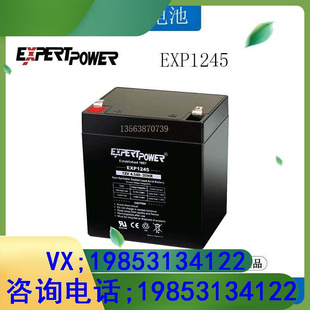 12V4.5AH 应急电源 铅酸免维护蓄电池 德国 EXP1245