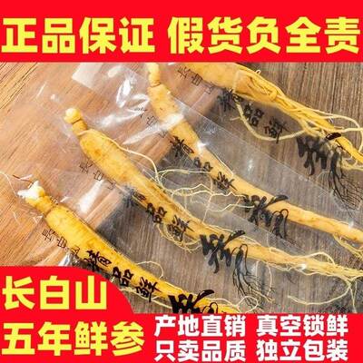 小鲜参真空包装长白山保鲜参泡酒