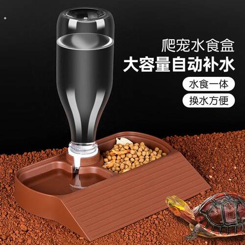 乌龟喂食盘爬宠黄缘龟专用自动饮水器蓄水盘守宫蜥蜴角蛙食盒水盒