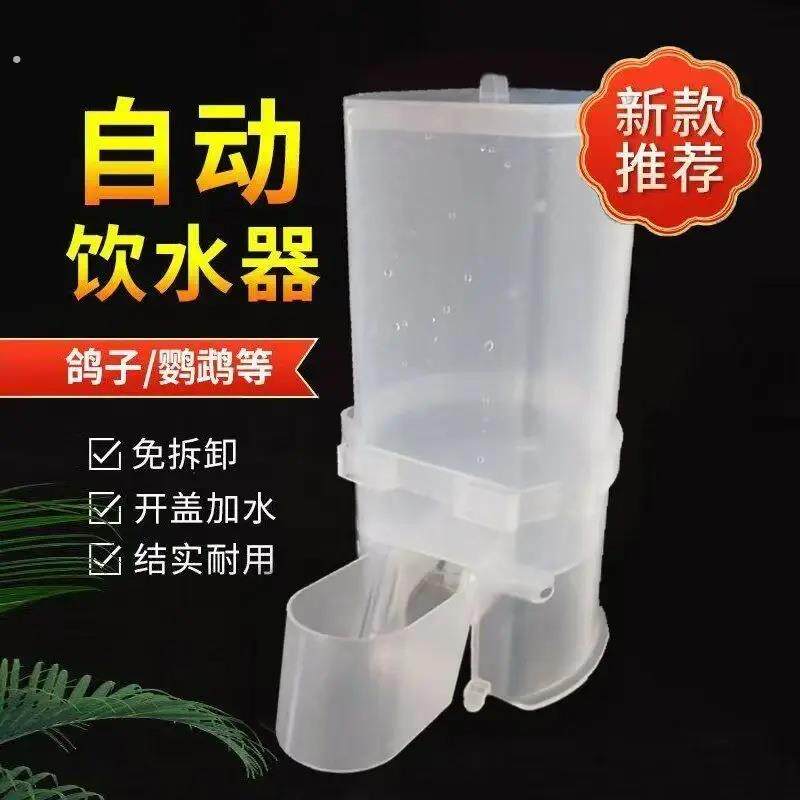 新款鸽子鸟用饮水用具自动水壶鹦鹉喂水杯芦丁鸡小鸡饮水自动上水