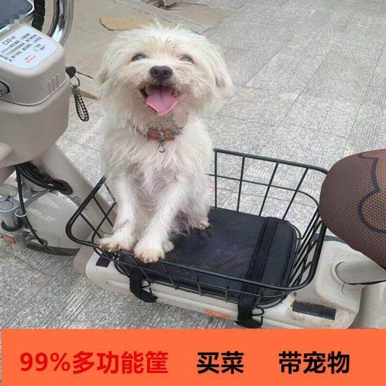 电动车带狗狗神器超大号大型犬座椅电动车前置踏板宠物筐
