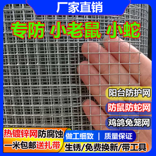 热镀锌铁丝网小孔格防老鼠蛇网养殖网鸡鸭鹅户外阳台防护网钢丝网