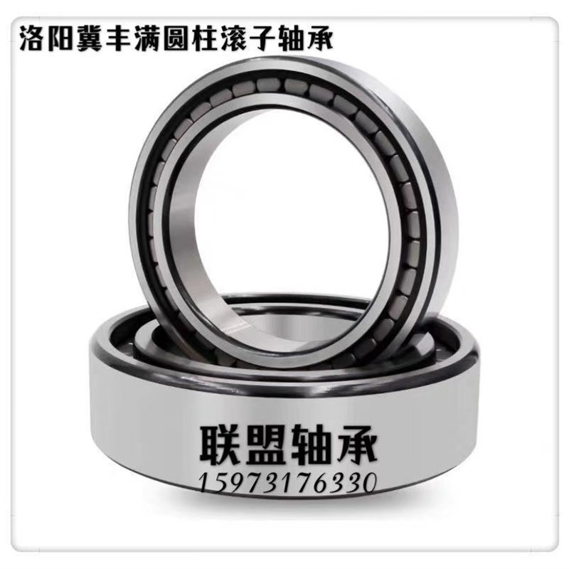 满装圆柱滚子轴承 SL182r917 NCF2917 内径85外径120厚度22mm