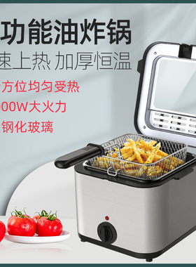 炸炉2.b5L小容量电热迷你油炸锅家用摆摊炸串2.5升油炸机鸡排油条