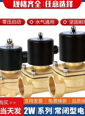 常闭电磁阀220V水阀24V气阀2W250-y25 2505 2W-40W0-40 2W500-50