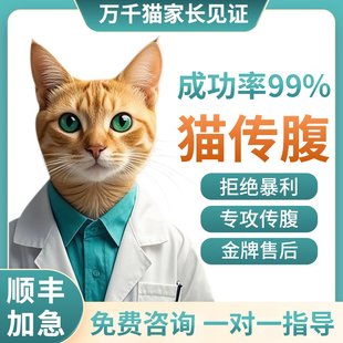 猫传腹抑制剂喵咪传腹针剂油水剂干湿性猫咪传染性腹膜炎口服片剂