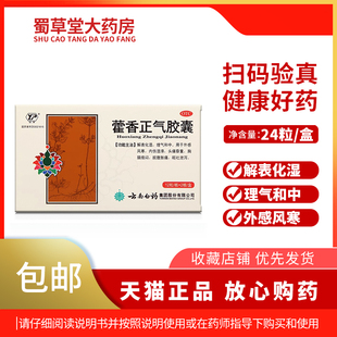 云南白药云丰藿香正气胶囊24粒解表化湿头痛昏重脘腹胀痛呕吐泄泻