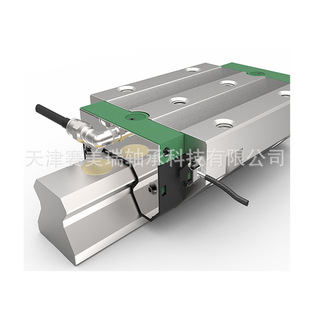 G2直线导轨法兰滑块 KWVE55