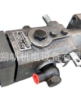 淄博淄柴LC8250船用柴油机喷油泵总成HP3100