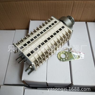 ZKF6-24IIK/WB ZKF6-16IIK/WB真空辅助开关 辅助开关