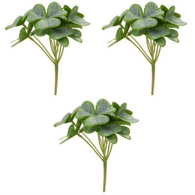 极速Bunches Shamrock Bush Bouquets House PlaOnts Indoors Liv